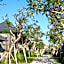 Theanna Villa and Spa Canggu