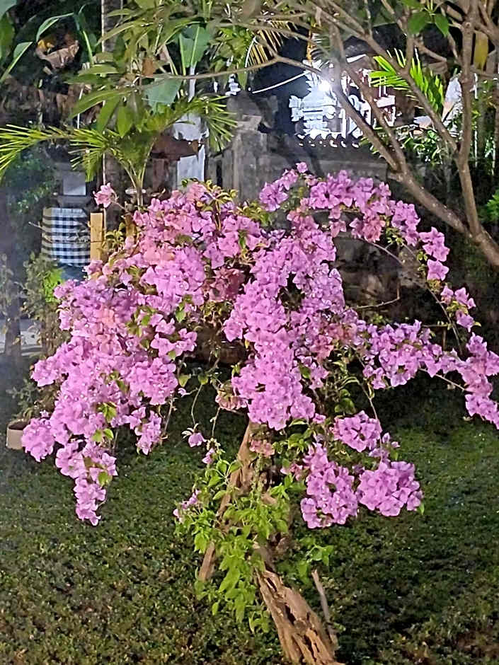 Balinda Rooms & Villa