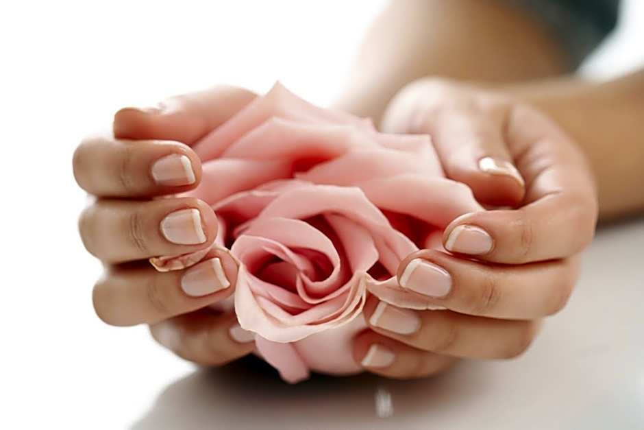 Hôtel Spa Du Béryl