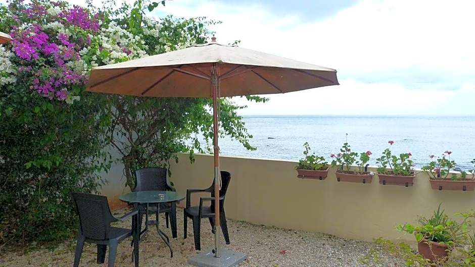 Le Cactus Guest House