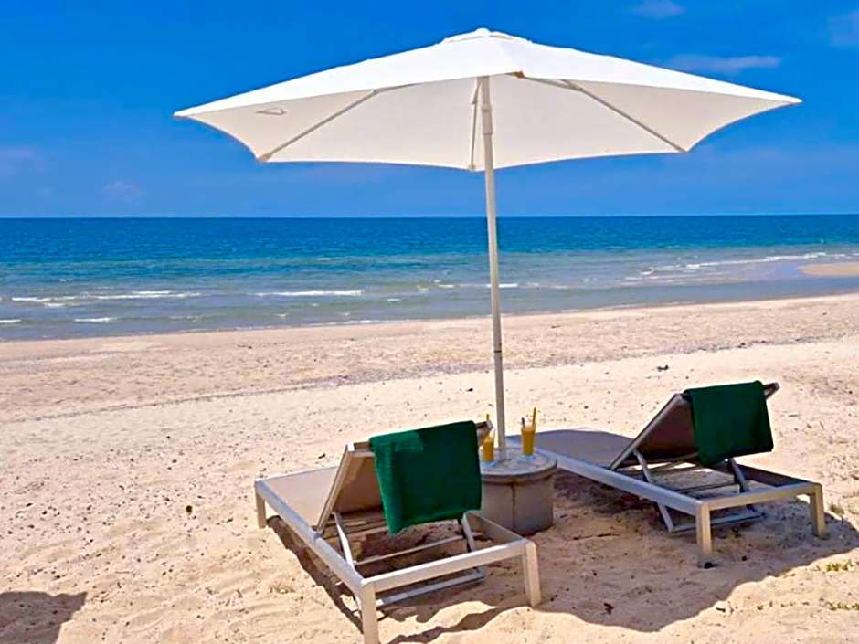 Le Petit Saint Tropez