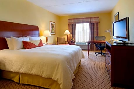 1 King Accessible Room with Bathtub
