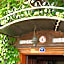 Bella Hotel