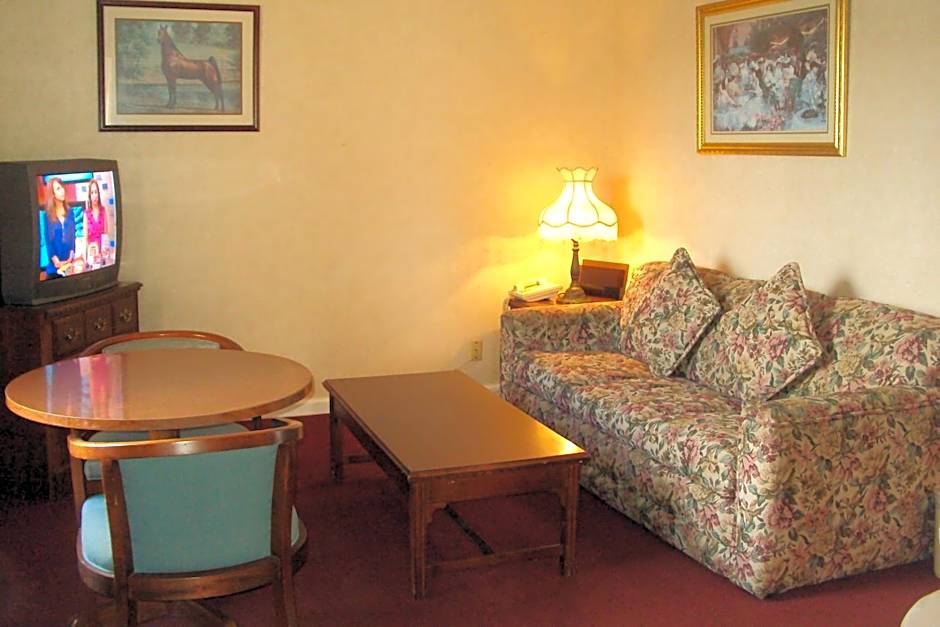 Photo 1 of 14 of 1 King Bed Suite, Nonsmoking