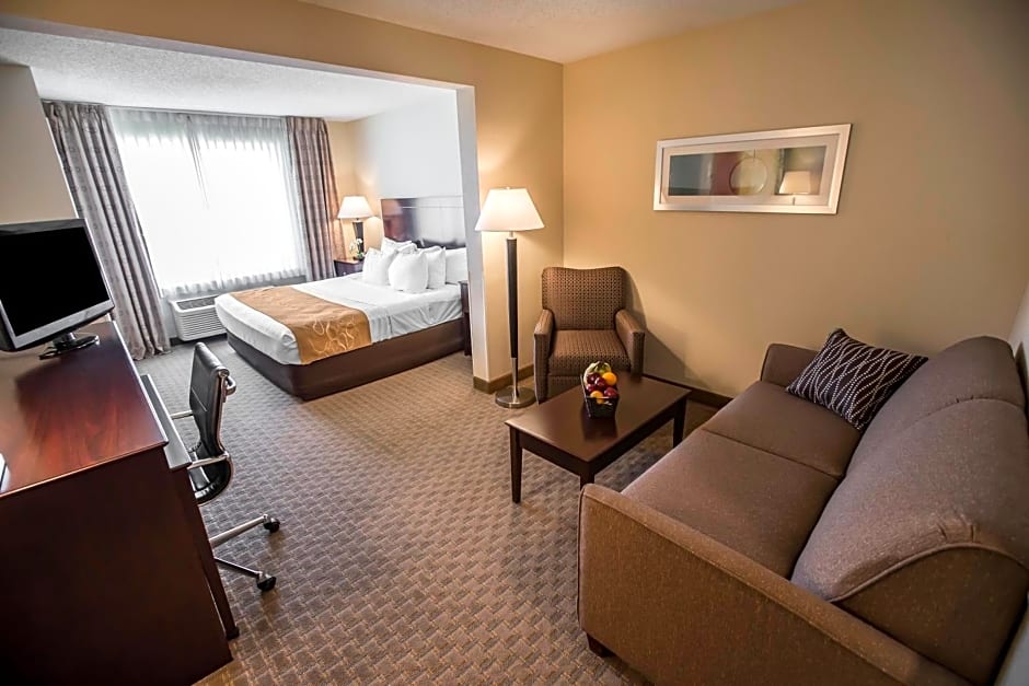 Comfort Suites University Area