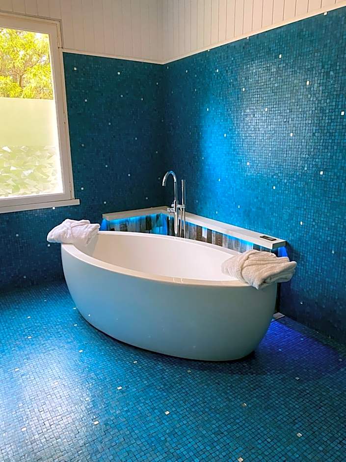 LES GENEBRUYERES - L'HISTOIRE D'UN REVE