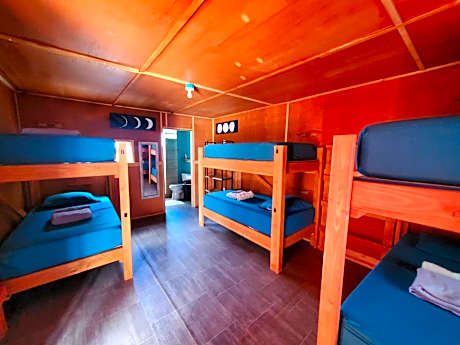 Bed in 6-Bed Female Dormitory Room