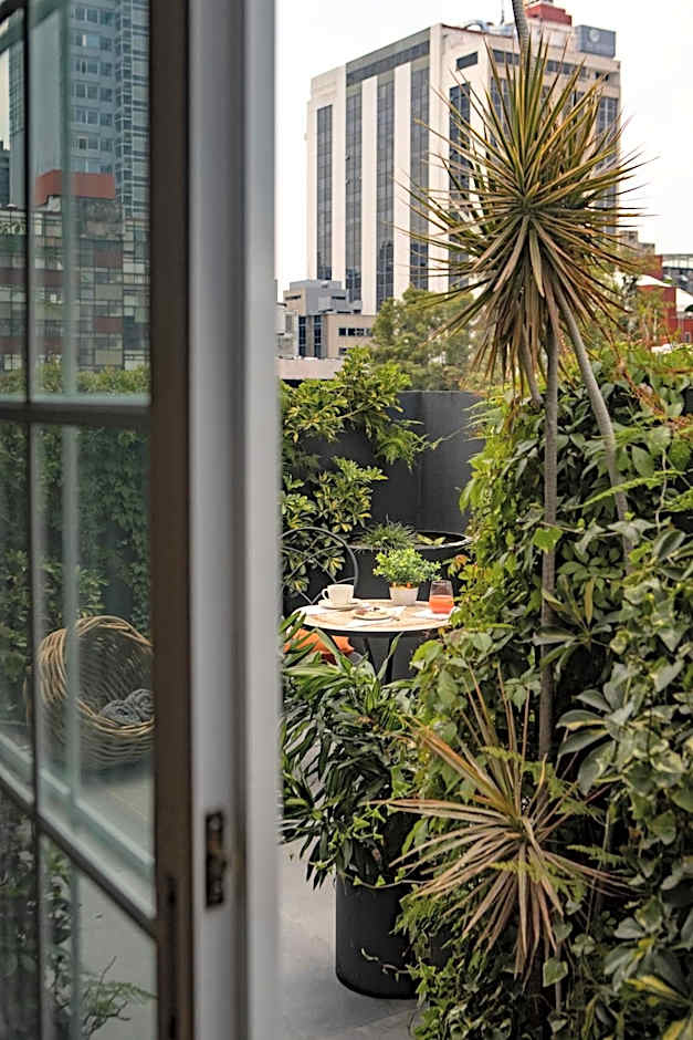 Reforma Guest House