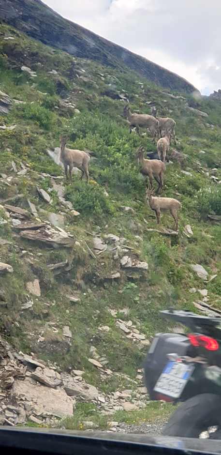 Antica casa occitana