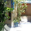 Riad Puchka