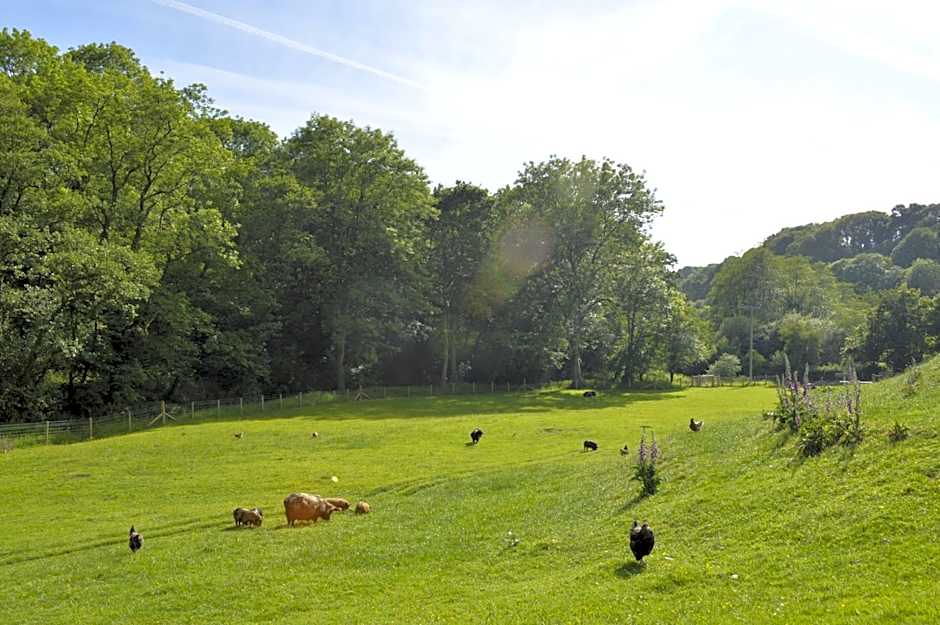 Troedyrhiw Bed & Breakfast