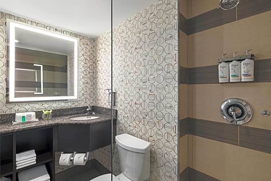 Holiday Inn Toronto Downtown Centre By IHG