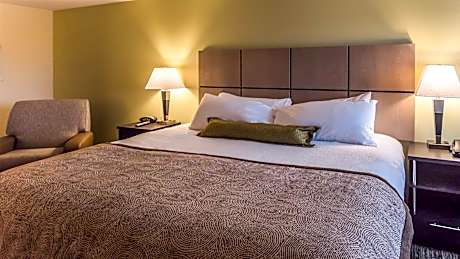 1 Queen Studio Suite