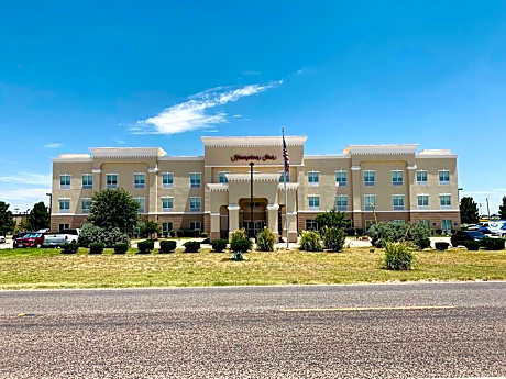 Hampton Inn By Hilton Fort Stockton, Tx