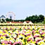 Hotel Royal Garden Kisarazu / Vacation STAY 72203