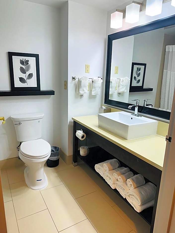 Country Inn & Suites by Radisson, Lawrenceville near Northside