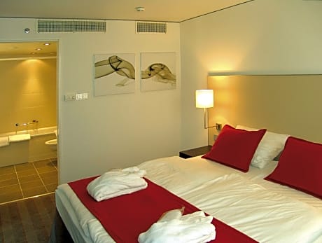 Comfort Single Room