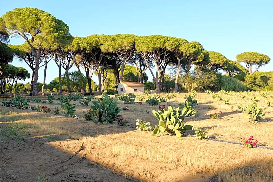 Residence La Canova II