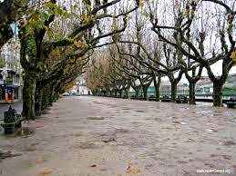 Albergue Pensión Flavia