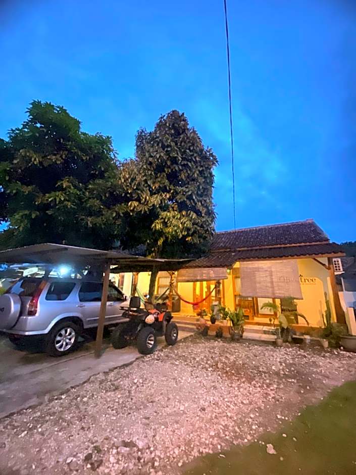 Sadewa homestay batukaras