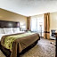 Comfort Inn Downtown