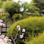 Shizuka Ryokan Japanese Country Spa & Wellness Retreat