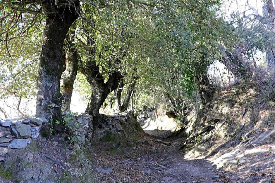Casa Di Lucia
