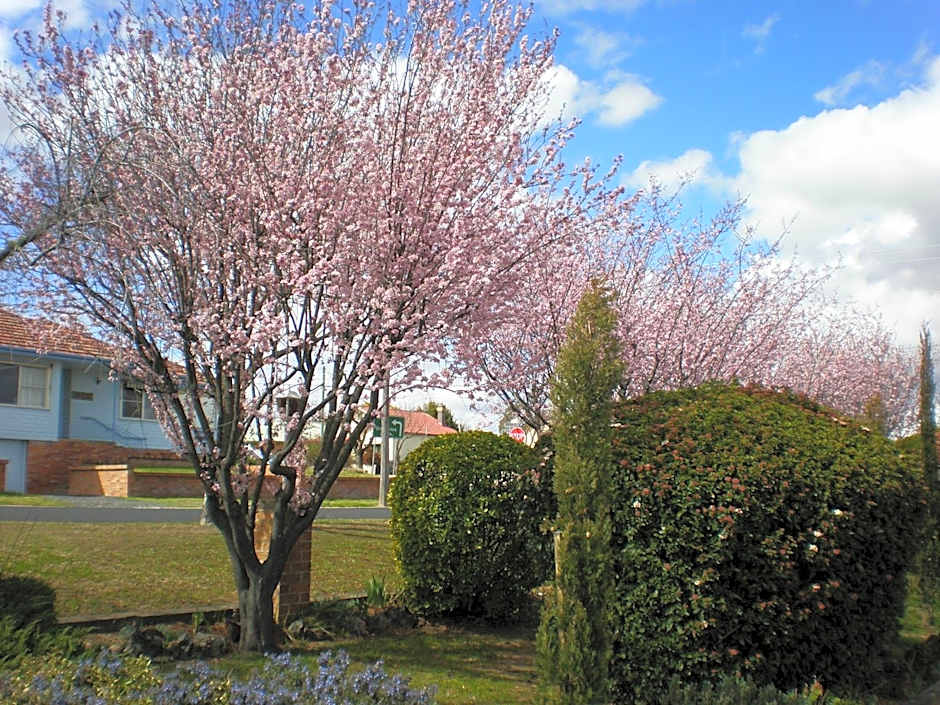White Lanterns Motel