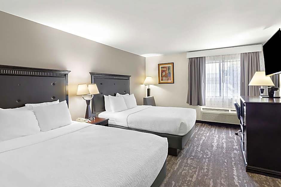 Best Western Saluki Inn