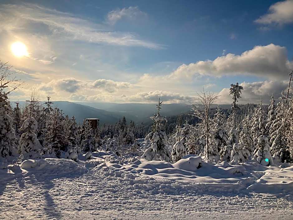 Schwarzwaldhotel Oberwiesenhof