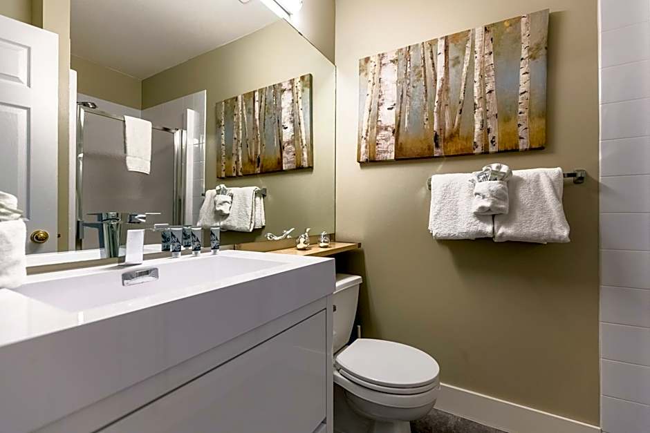 Ski In & 15 Minute Walk to the Lifts Hot Tub AC Pet Friendly