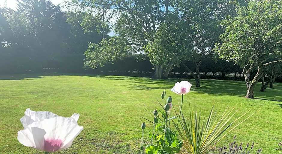 Hope Orchard En-Suite Rooms