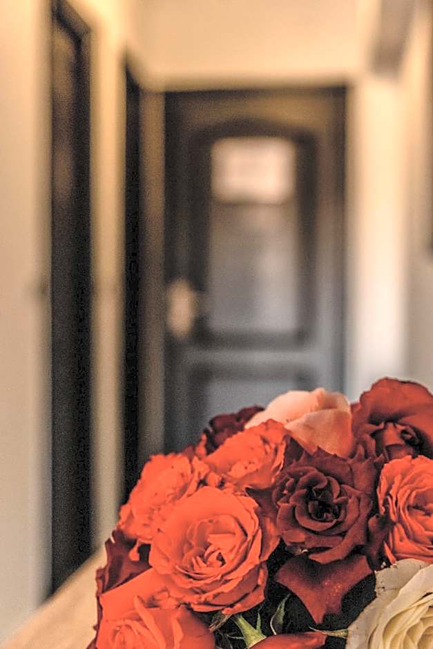 Hotel Imperial Holiday