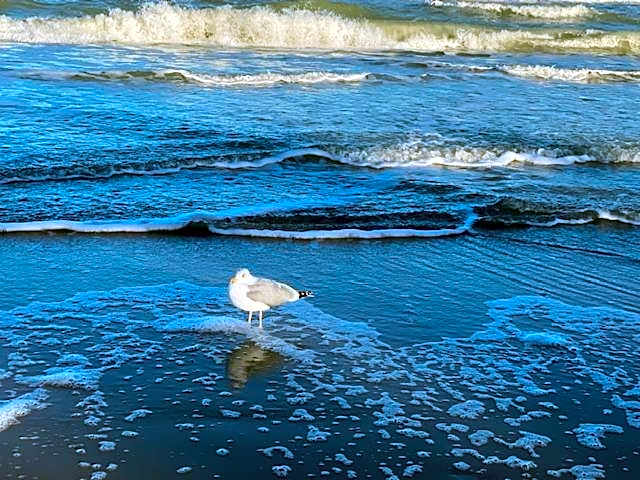 Gästehaus Windflüchter