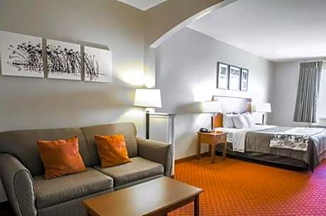 1 King Bed, Nonsmoking