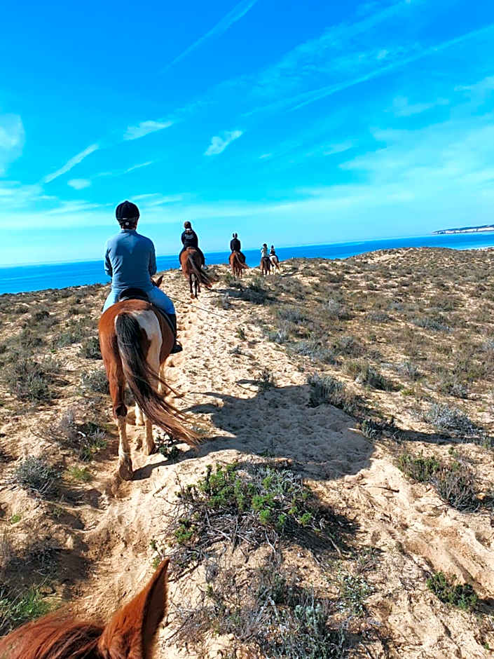 Quinta Pedra Dos Bicos