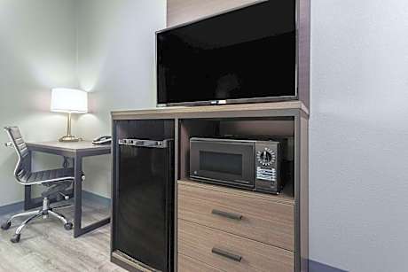 1 King Bed Deluxe Studio Suite Non-Smoking