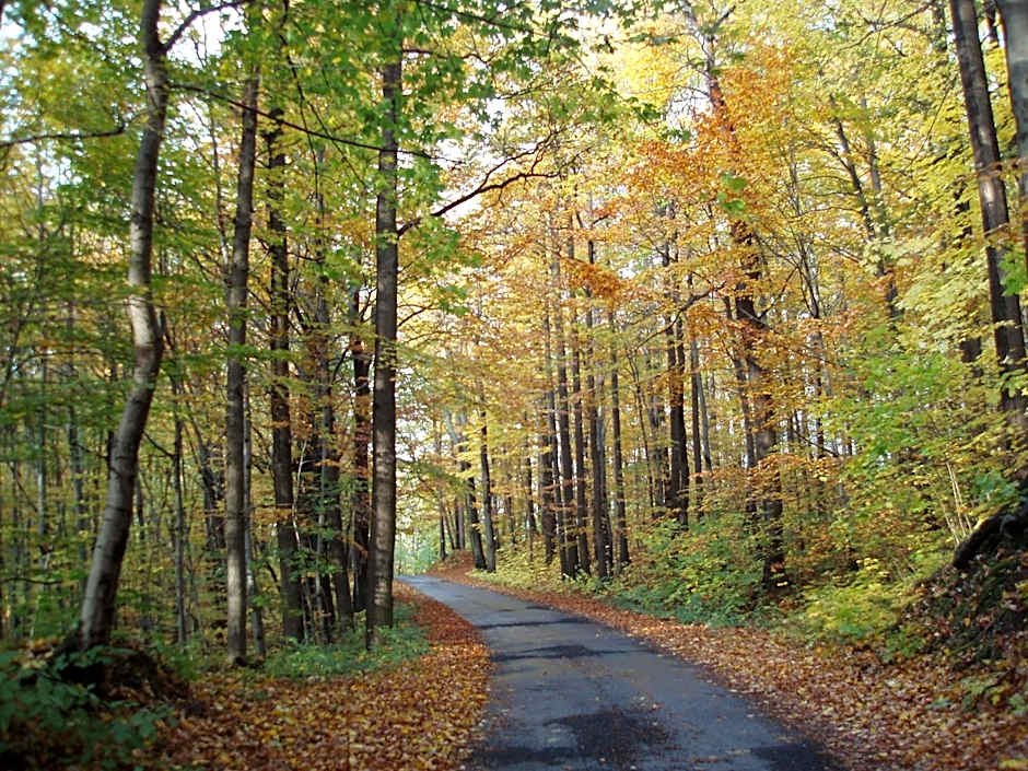 Pension Lenno we Wleniu