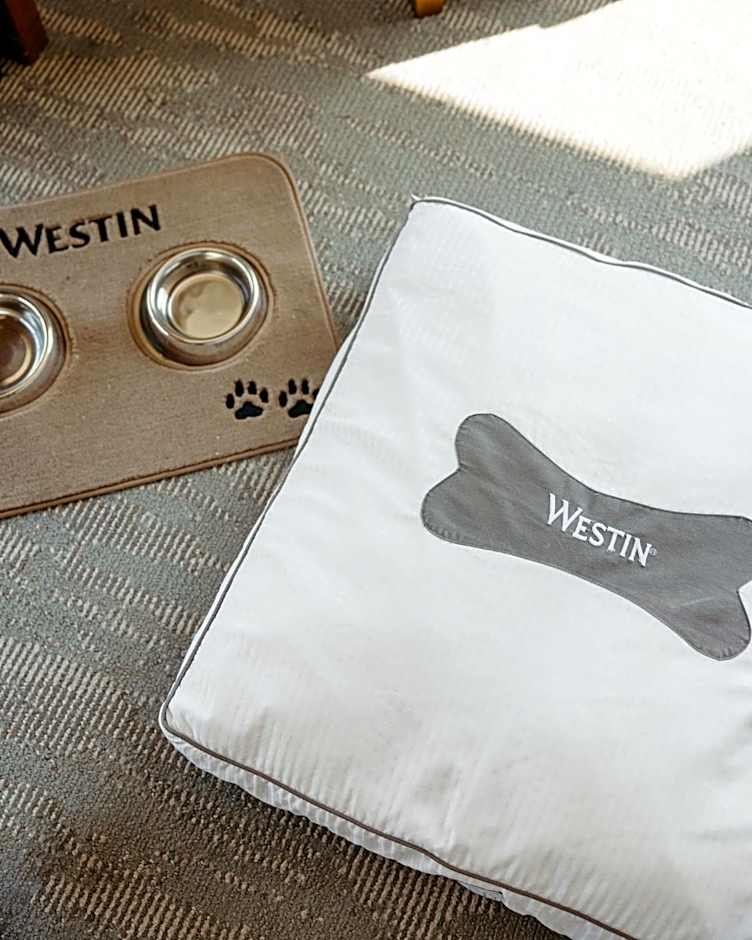 The Westin Austin At The Domain