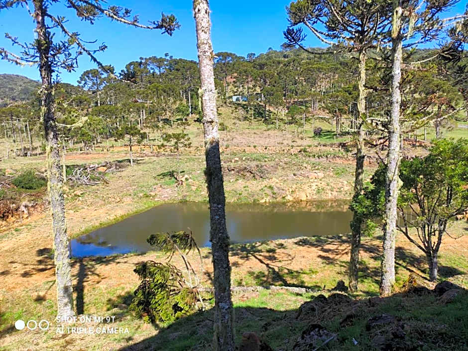 Cabanas das Araucárias