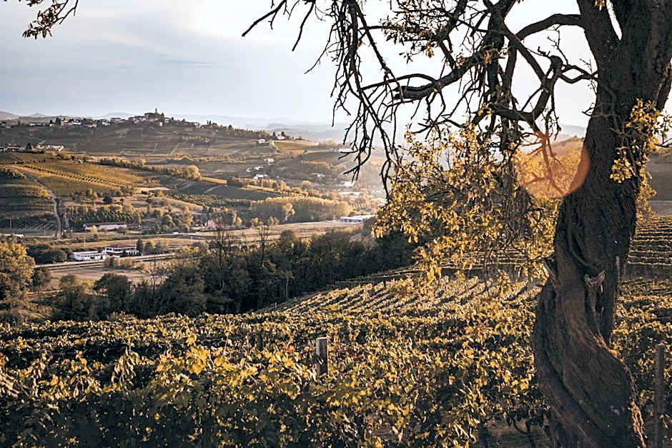 Villa Vinory Bricco di Nizza