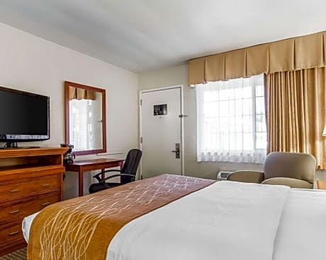 Standard Room with Two Double Beds Non-Smoking