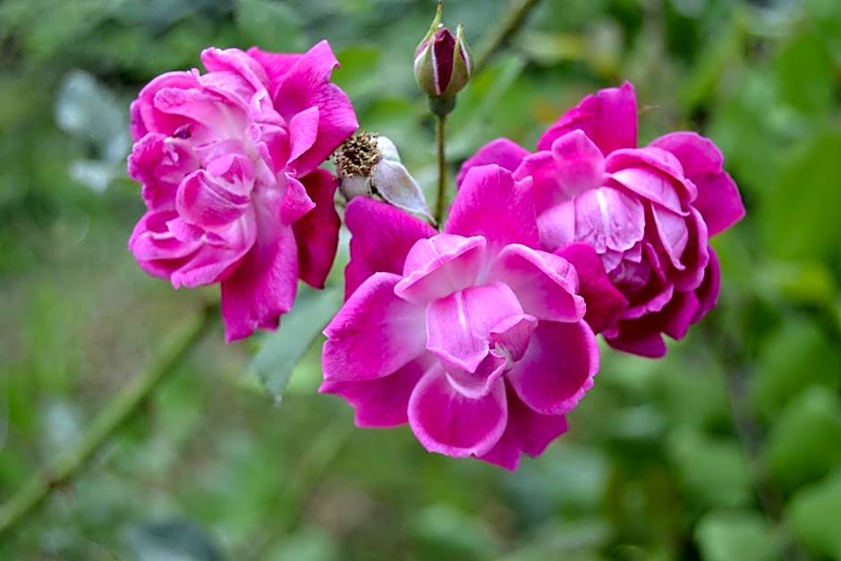 GLEM rooms & breakfast