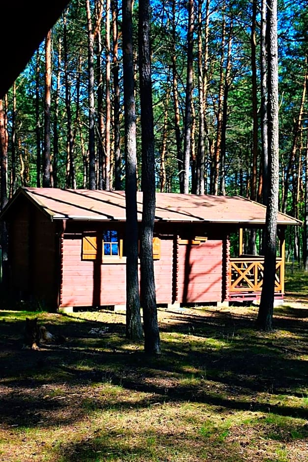 Leśniczówka-Wdzydze Pe eL