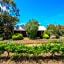 Stonewell Cottages and Vineyards