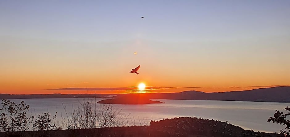 Aorangi Peak Holiday House