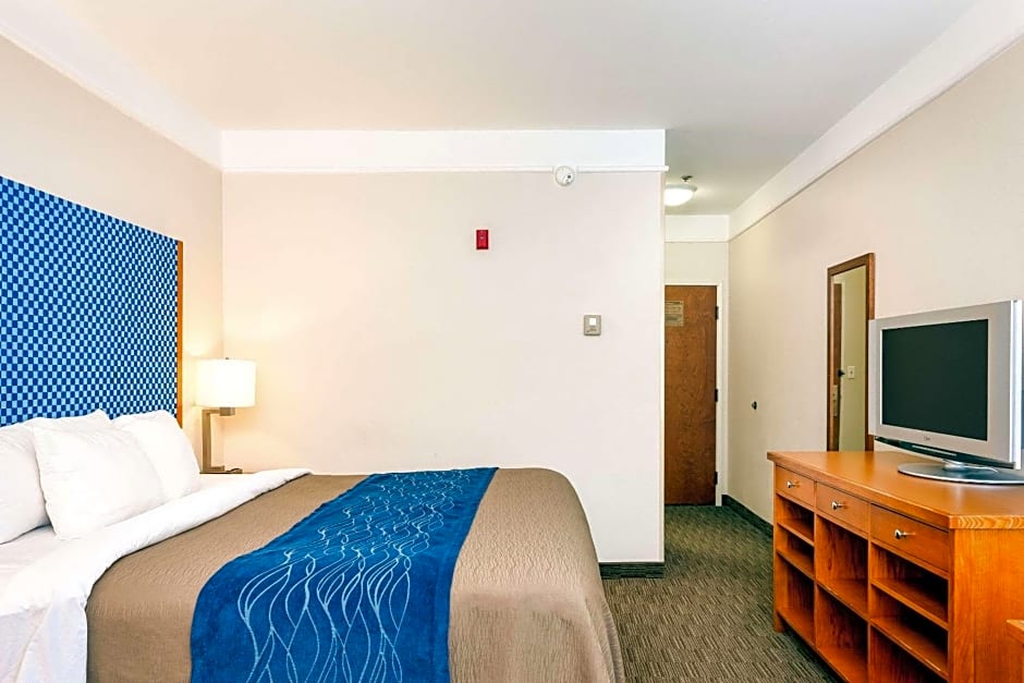 Comfort Inn & Suites Savannah Airport