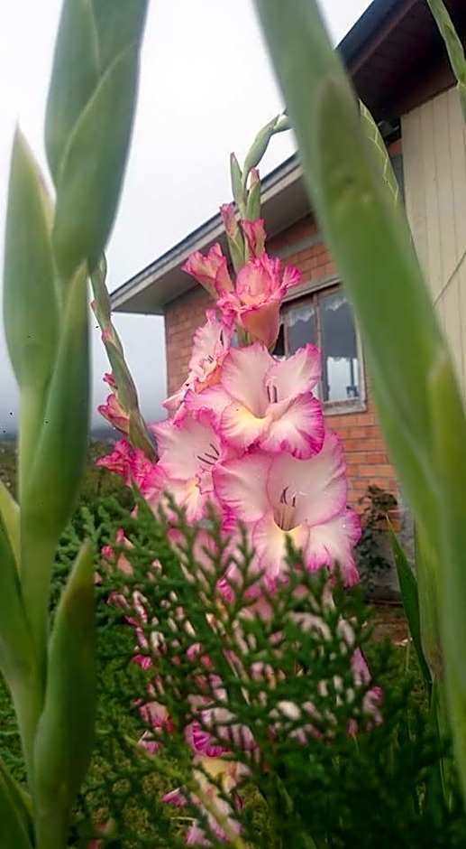 Paraíso Dos Cânions