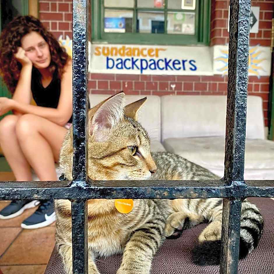 Sundancer Backpackers Hostel