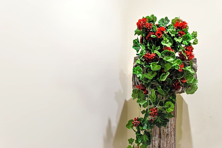 B&B Muro Torto Lucera